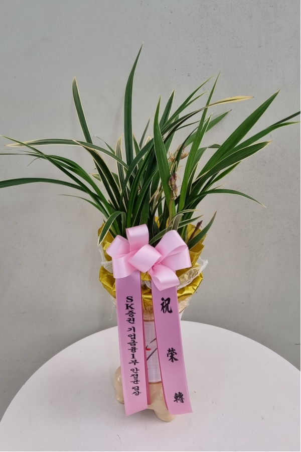 [λ̵ õ]   Ǿִ  ɹ  