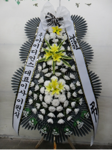 ô  ǰ! - ö119 3ܱ⺻ȭȯ  (Ʈ) ɹ  