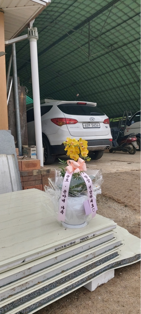 ��� ������ ���� ���� �ɹ�� ���� 