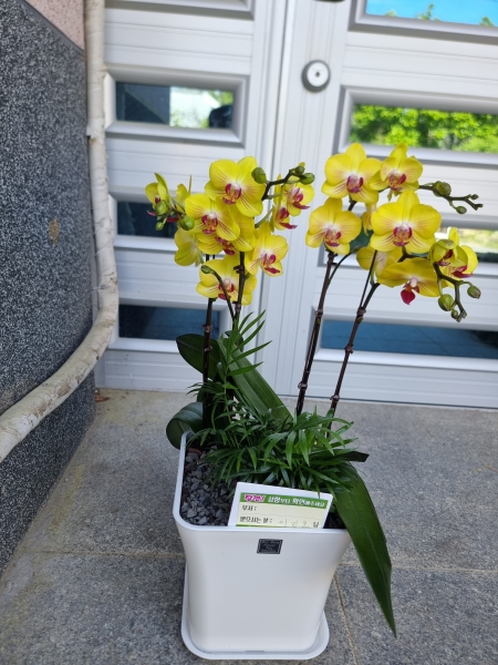 ����� ���� �����մϴ� - ����մϴ� �ɹ�� ���� 