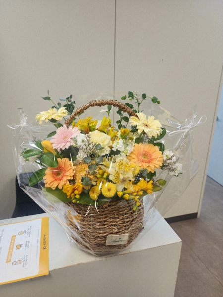 ���� �޻� ���ķ� - ���� �ɹٱ���