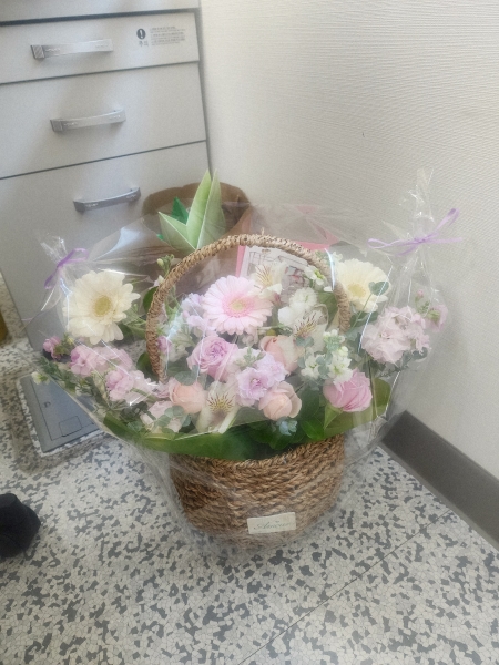 [�������]Rose day-�ູ�� ����