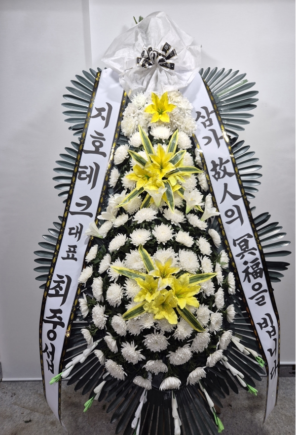 ���� �ֵ��� ���� ����ȭȯ