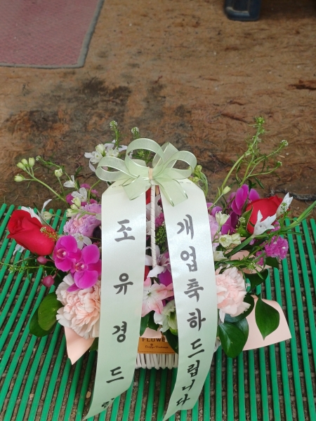 [����/�����ǹ��] Yes it is - ������ ������� �ɹ�� ���� 