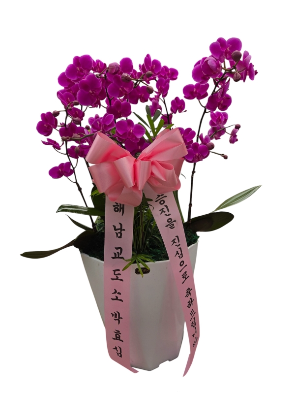 ������ ù������ ���ο� ������ �����ϴ�, ���� ��ũ ȣ���� ��õȫ �ɹ�� ���� 