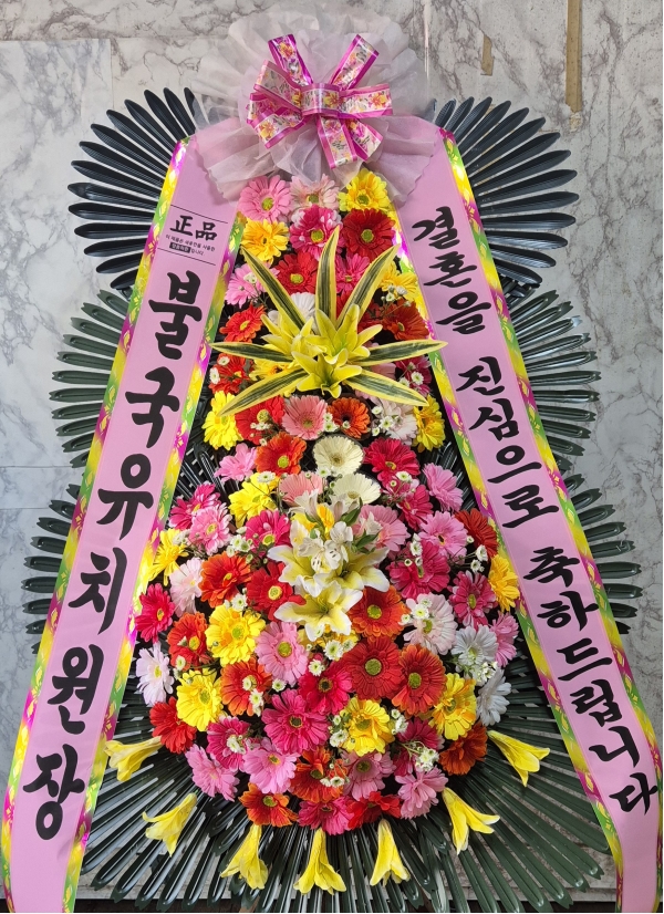 (���� ���Ϲ��) ����3��ȭȯ �ɹ�� ���� 