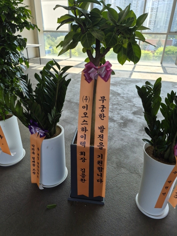 ���� ���� - �ǳ����� ��ȭ���� - ���׸���� ���� �𰥰������� �ɹ�� ���� 