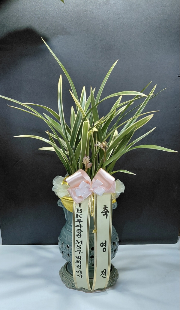 [����]���� �����- Ȳ��� �ɹ�� ���� 