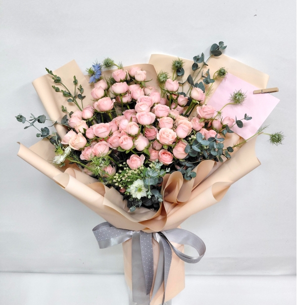 [����/�����ǹ��]Spring loves Baby pink �ɹ�� ���� 