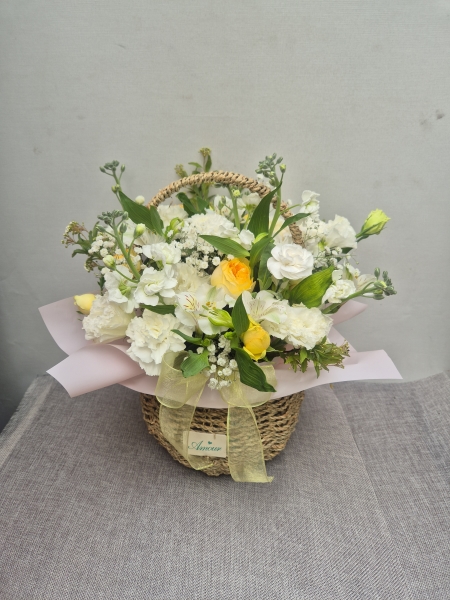 �ູ�� ���� ���ӿ��ο� �ɹ�� ���� 