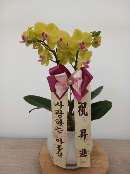 �������� ������ ������ ����ϸ�, ��� ȣ���� �ɹ�� ���� 