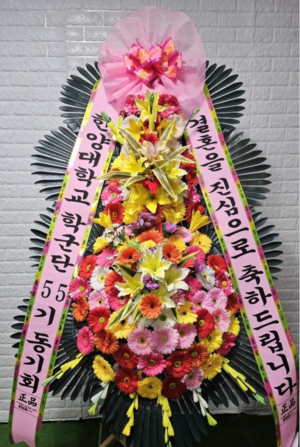 ������ ���� ����3��ȭȯ �ɹ�� ���� 