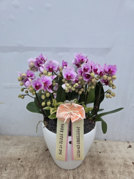 Ư���� ������ ���� �ְ��� ����, �ְ��� ��ũ ȣ���� �ɹ�� ���� 