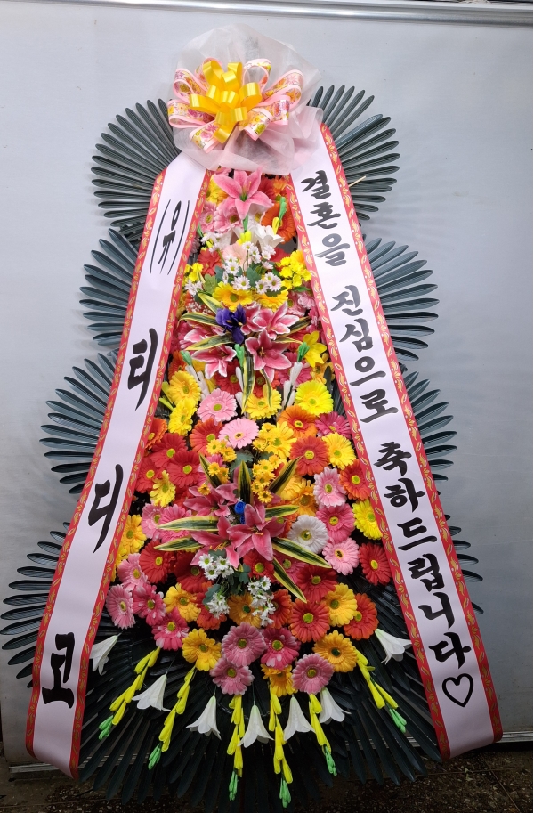 ����3�ܱ⺻ȭȯ �ɹ�� ���� 