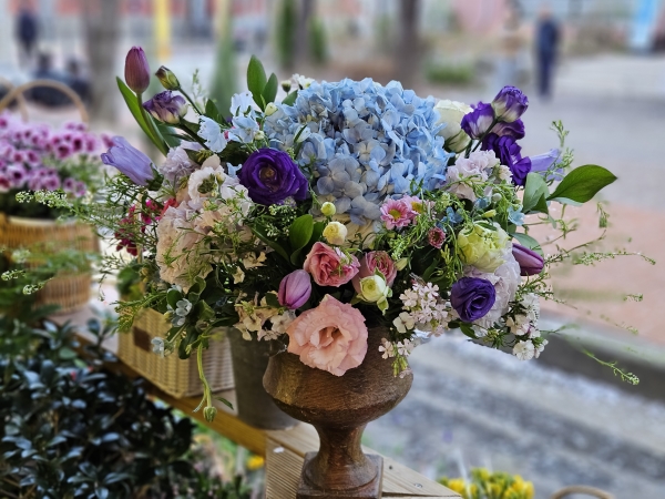 [����/�����ǹ��]Spring loves �ູ���� �ɹ�� ���� 