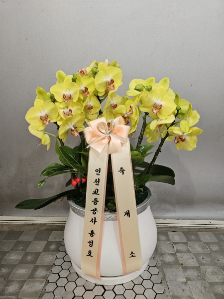 ������ ������ ����� �Բ� ������, ��� ȣ���� �ɹ�� ���� 