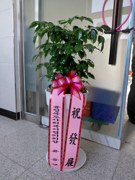 ������õ �������� - ���� �캸�� C �ɹ�� ���� 