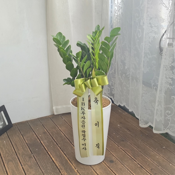 �������� ������õ - �̱׷��� ������ C