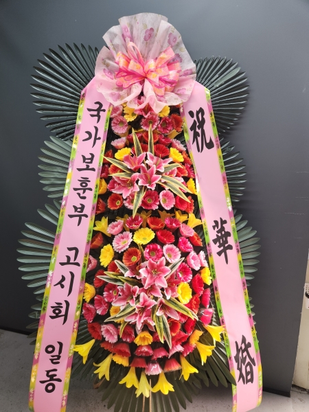 ������ ���� ����3��ȭȯ �ɹ�� ���� 