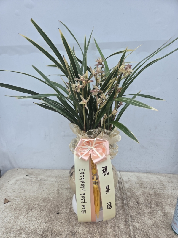 ������ �����մϴ� ��Ȳ �ɹ�� ���� 