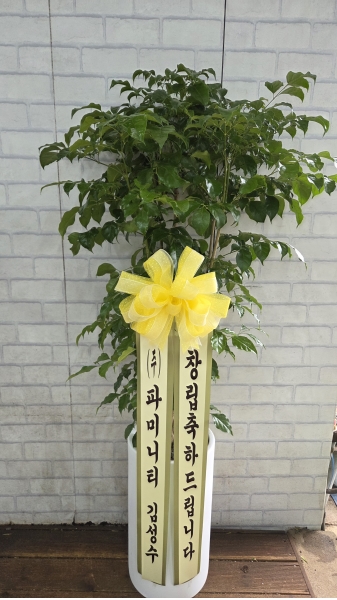 [ȭ�а�����õ] ���� �ɹ�� ���� 