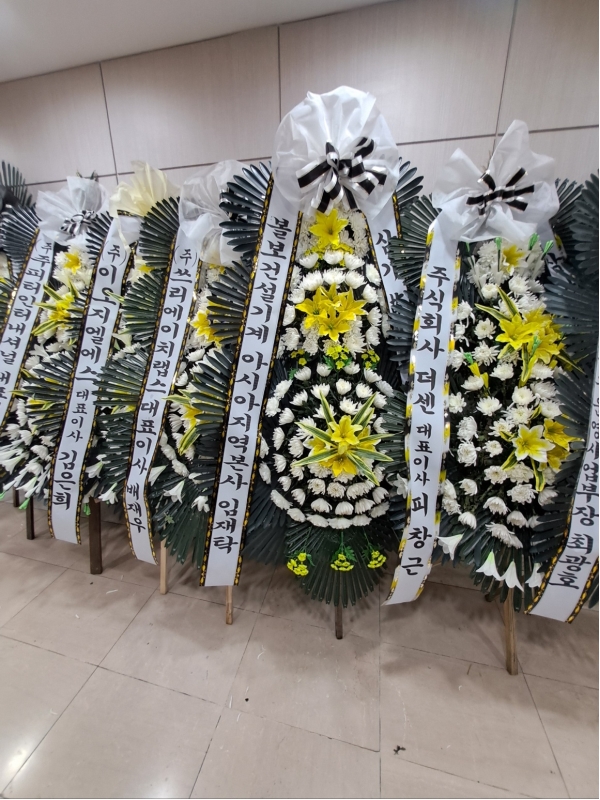 ������ ���� ���� 3�� ȭȯ �ɹ�� ���� 