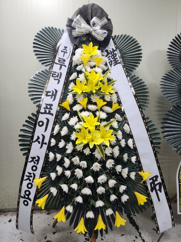 �����ô� ���� ǰ��! - �ö��119 ����3�ܱ⺻ȭȯ  (�������Ʈ) �ɹ�� ���� 