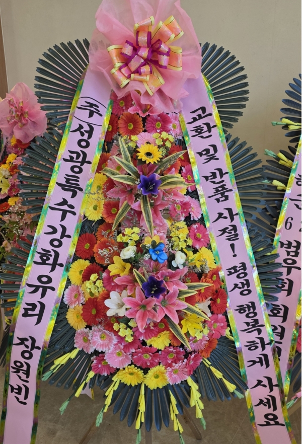 ����3�ܱ⺻ȭȯ �ɹ�� ���� 