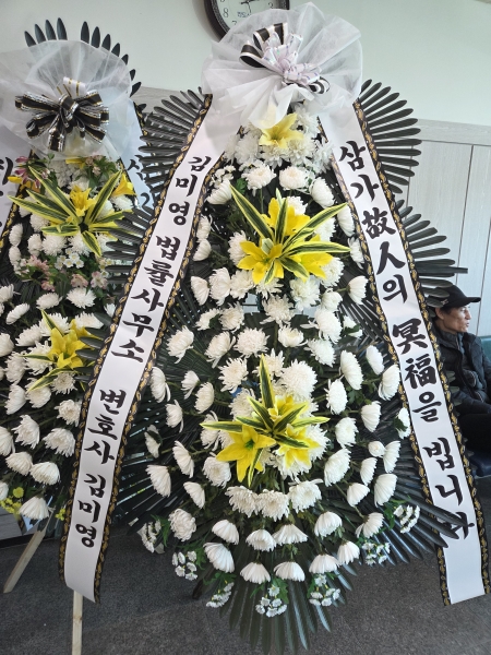 ������ ���� ���� 3�� ȭȯ �ɹ�� ���� 