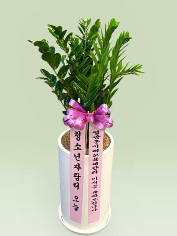 �������� ������õ - �̱׷��� ������ C �ɹ�� ���� 