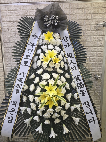 ������ ���� ���� 3�� ȭȯ �ɹ�� ���� 