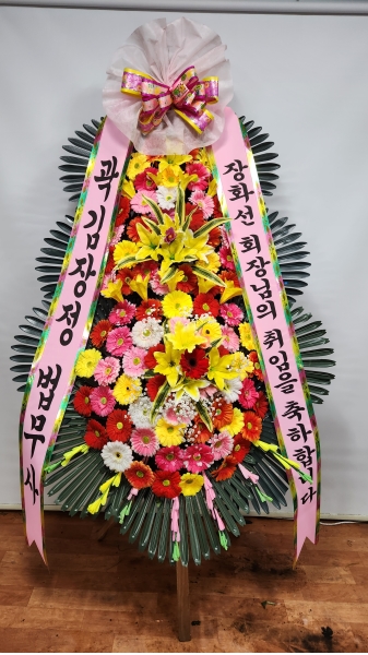 ����3�ܱ⺻ȭȯ �ɹ�� ���� 