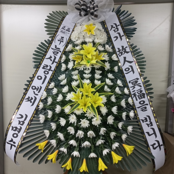 ô  ǰ! - ö119 3ܱ⺻ȭȯ  (Ʈ) ɹ  