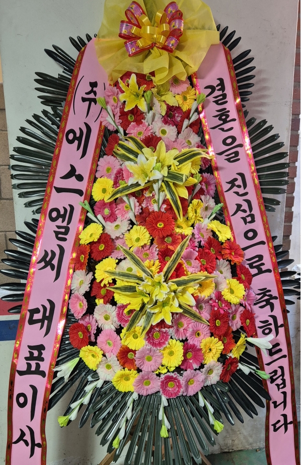 ôº ǰ! - ö119 3ȭȯ ɹ  