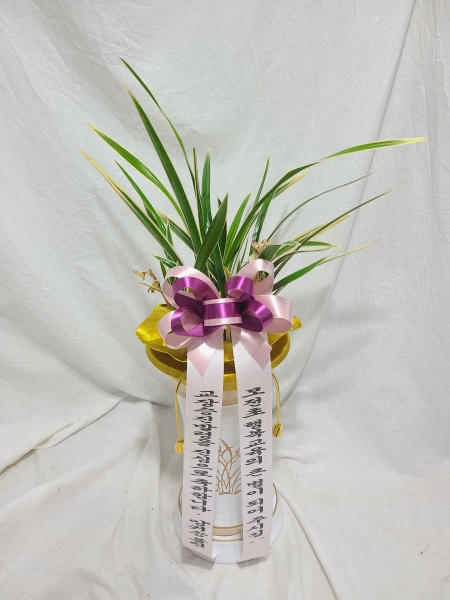 [�λ��̵� ��õ] ���� ���� �Ǿ��ִ� ����� �ɹ�� ���� 