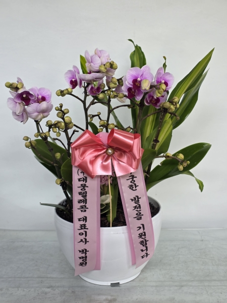 ���� ���� ���� Ư���� ����, ��ũ ȣ���� �ɹ�� ���� 