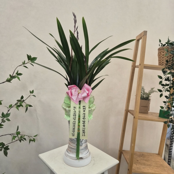 [�λ��̵� ��õ] �Ͼ���� �Ǿ�� ���ο� ����� �ɹ�� ���� 