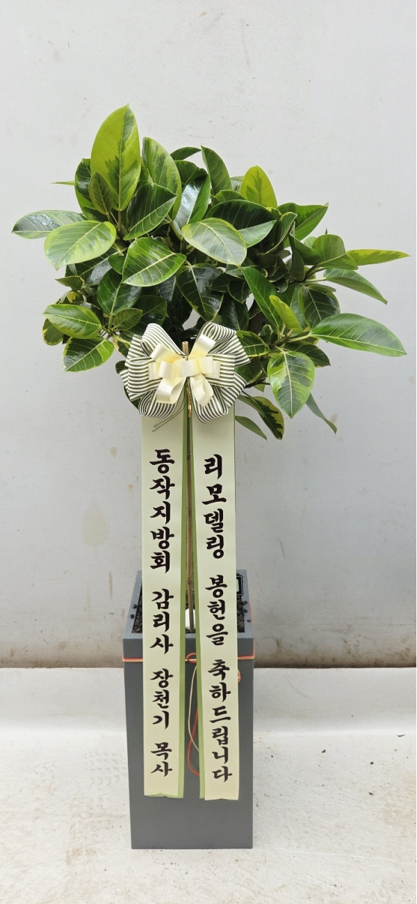 ������ ������ ���� - �𰥰�������(��) �ɹ�� ���� 