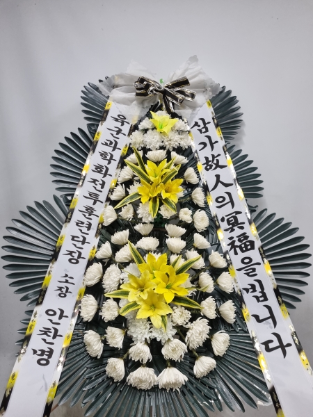 ������ ���� ���� 3�� ȭȯ �ɹ�� ���� 