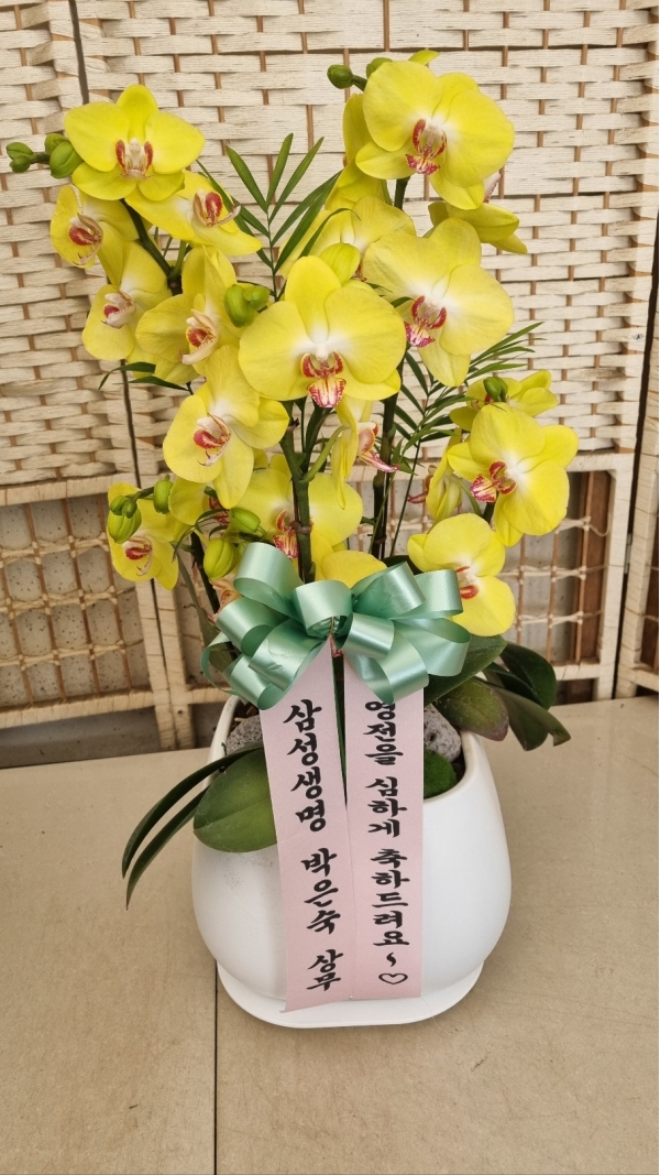 ������ ������ ����� �Բ� ������, ��� ȣ���� �ɹ�� ���� 