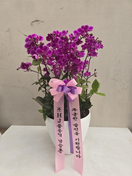 ���ο� ��߰� ������ �����ϸ�, ���� ��ũ ȣ���� ��õȫ �ɹ�� ���� 