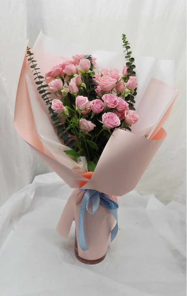 [����/�����ǹ��]Spring loves Baby pink �ɹ�� ���� 