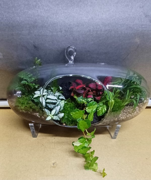 �������ȿ� ���� ������ �ٸ��� - �����׶󸮿� ���ּ� �ɹ�� ���� 