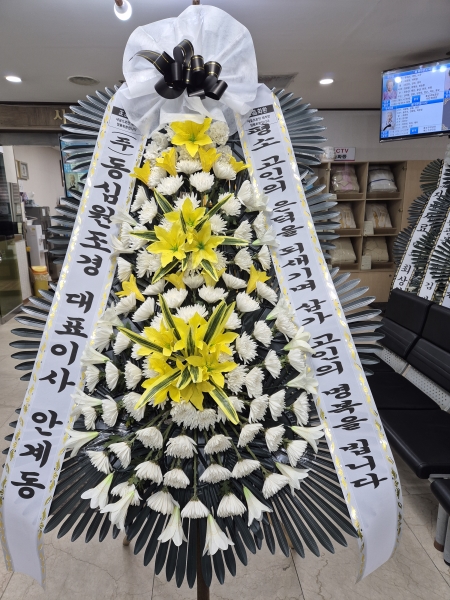 �����ô� ���� ǰ��! - �ö��119 ����3�ܱ⺻ȭȯ  (�������Ʈ) �ɹ�� ���� 