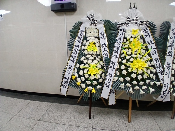 ������ ���� ���� 3�� ȭȯ �ɹ�� ���� 