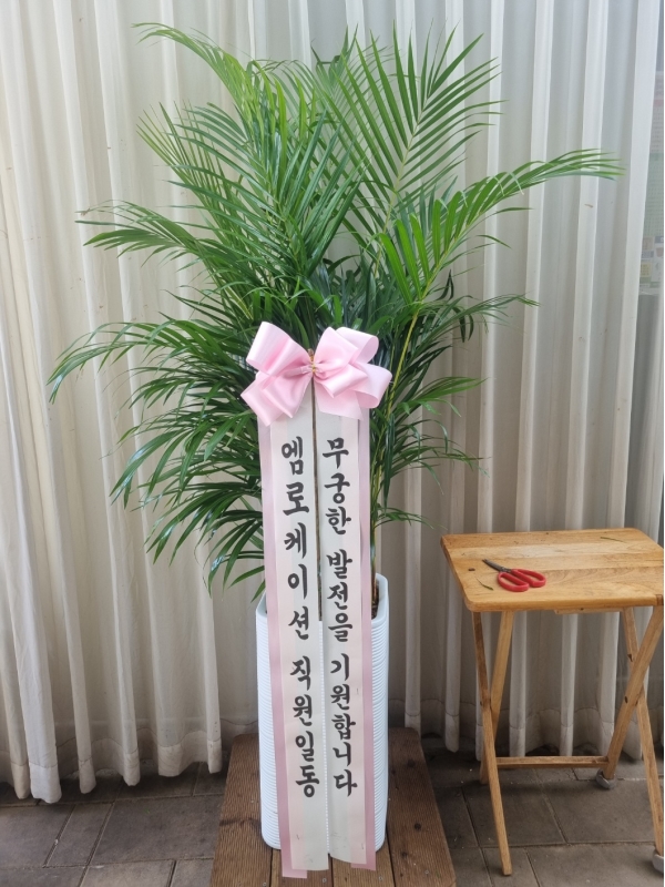 Office & Nature �Ʒ�ī���� (Ư��) �ɹ�� ���� 