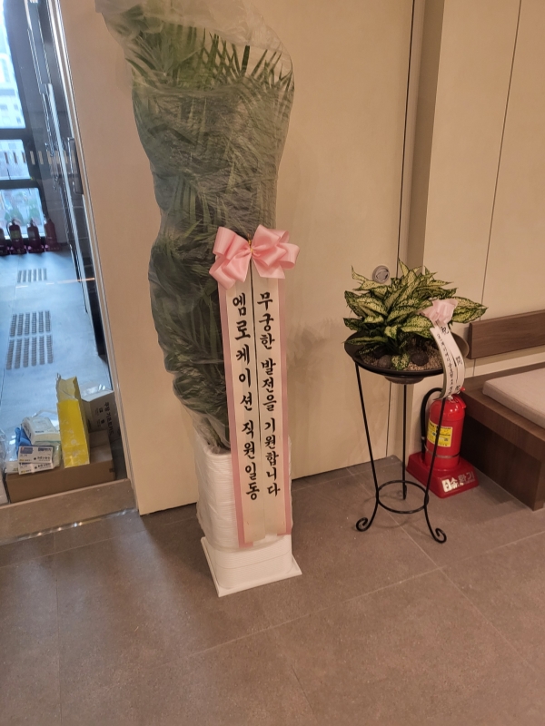 Office & Nature �Ʒ�ī���� (Ư��) �ɹ�� ���� 