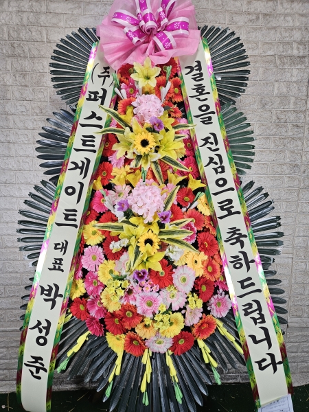 ����3�ܱ⺻ȭȯ �ɹ�� ���� 