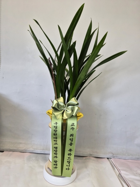 [�λ��̵� ��õ] �Ͼ���� �Ǿ�� ���� ����� �ɹ�� ���� 