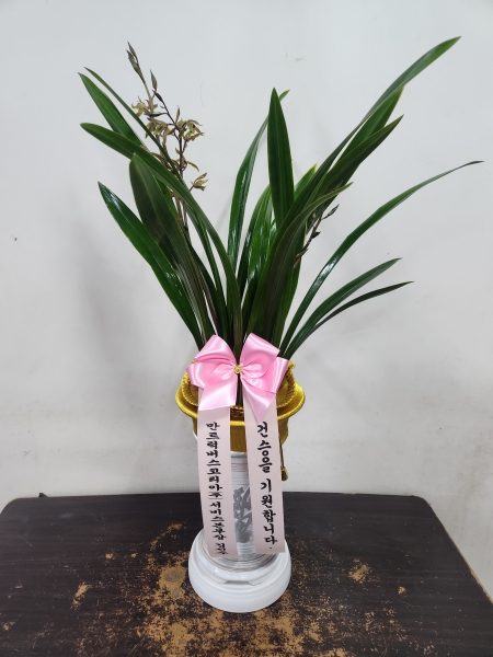 [�λ��̵� ��õ] ���� ���� �Ǿ��ִ� ����� �ɹ�� ���� 